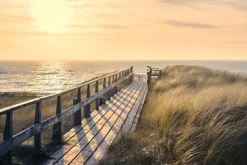 NANU-NANA Poster Way To The Sea, Nr. 107