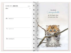 NANU-NANA Terminplaner 2025, Samtpfoten